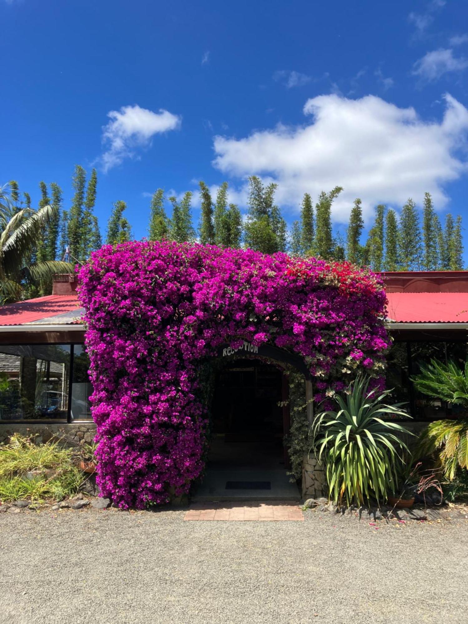 Ahipara Holiday Park Екстериор снимка